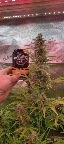 Growreport Bild 21