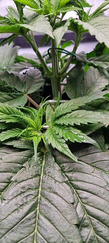 Growreport Bild 17