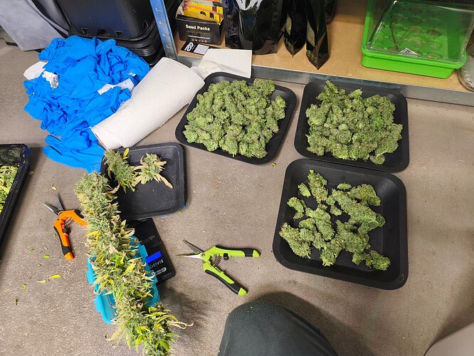 Growreport Bild 1