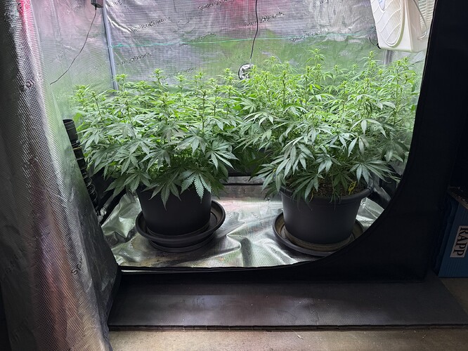 Growreport Bild 55