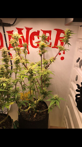 Growreport Bild 5