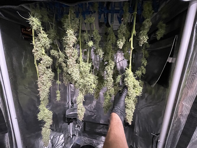 Growreport Bild 6