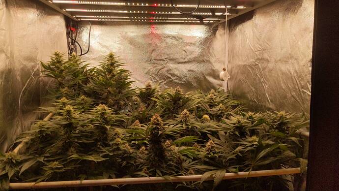 Growreport Bild 10