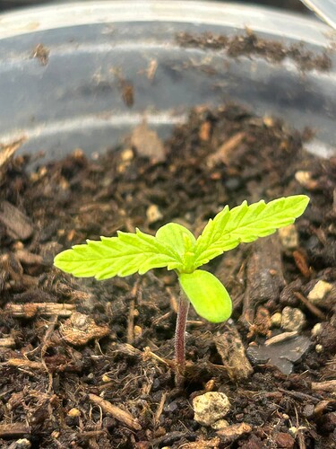 Growreport Bild 8