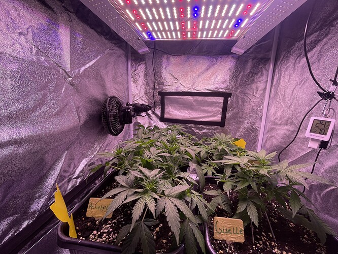 Growreport Bild 2