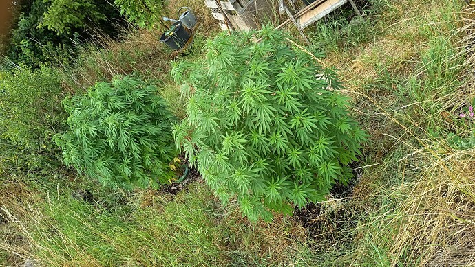 Growreport Bild 12