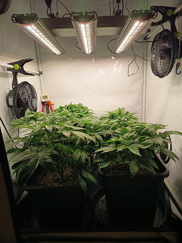 Growreport Bild 14