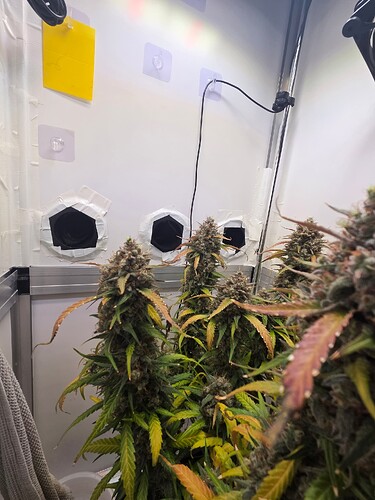Growreport Bild 4