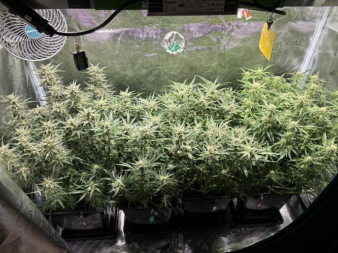 Growreport Bild 1