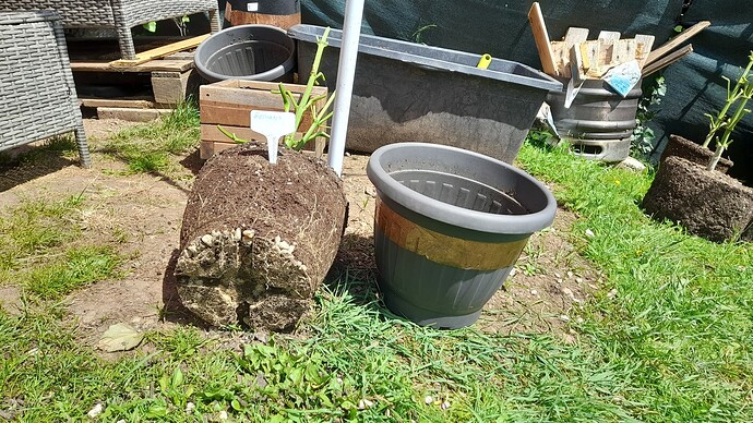 Growreport Bild 17