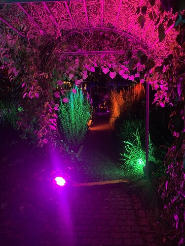 Growreport Bild 1