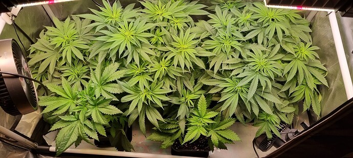 Growreport Bild 10