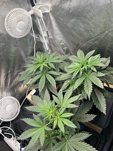 Growreport Bild 7