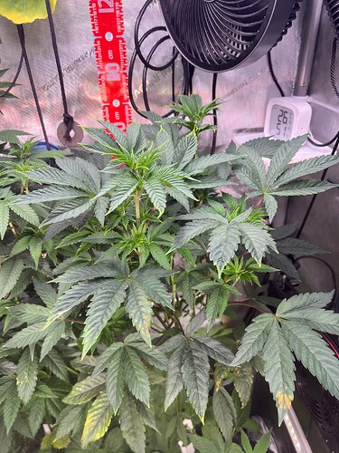 Growreport Bild 4