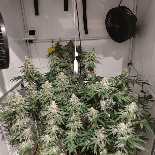 Growreport Bild 12