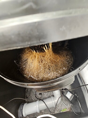 Growreport Bild 6