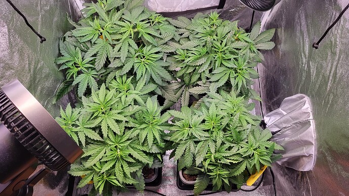 Growreport Bild 2