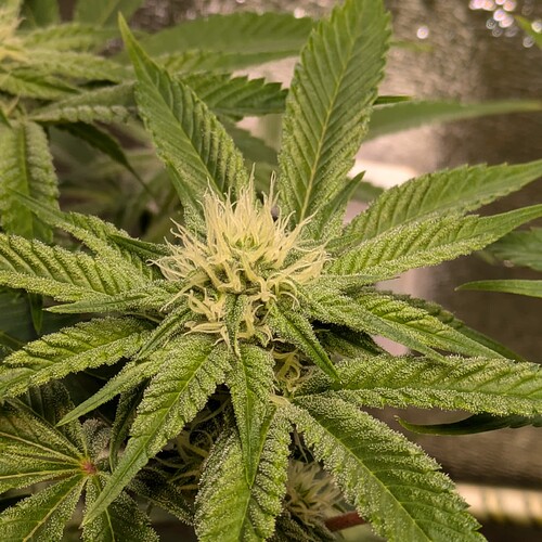 Growreport Bild 10