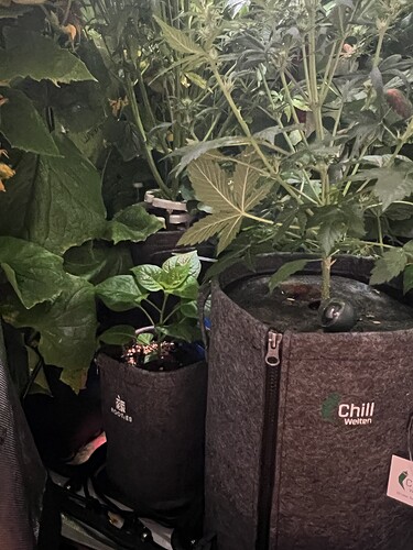 Growreport Bild 23