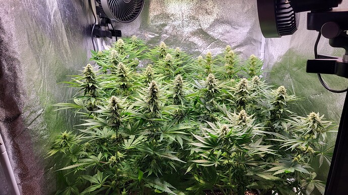 Growreport Bild 11