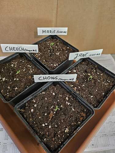 WhatsApp Bild 2024-04-26 um 12.00.49_3ae3810f