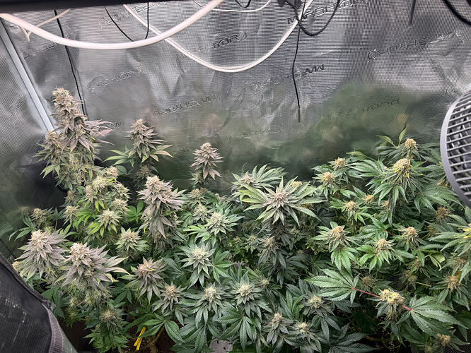 Growreport Bild 21