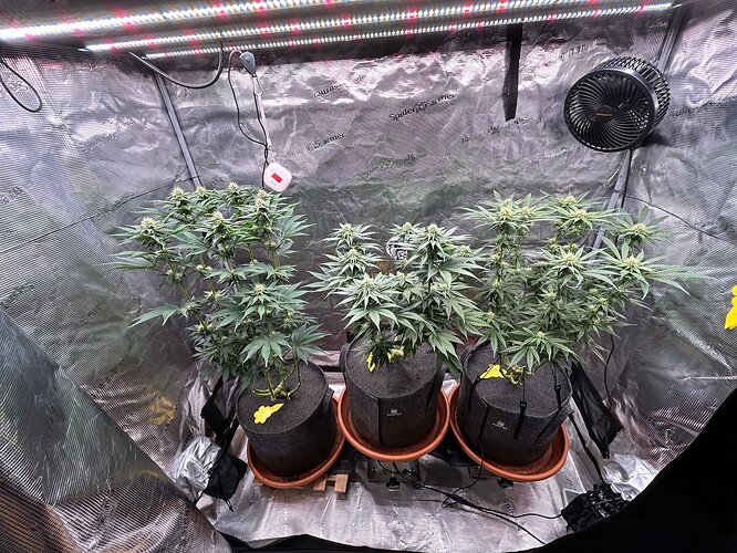 Growreport Bild 9