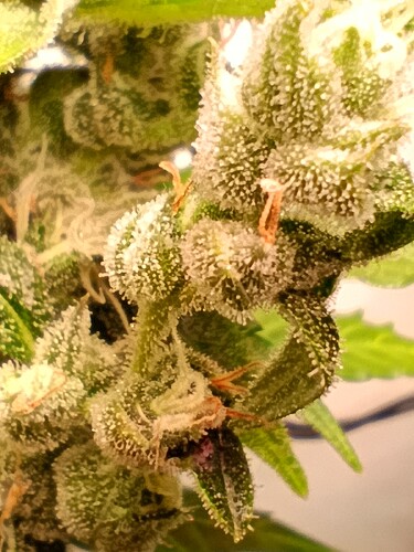Growreport Bild 10