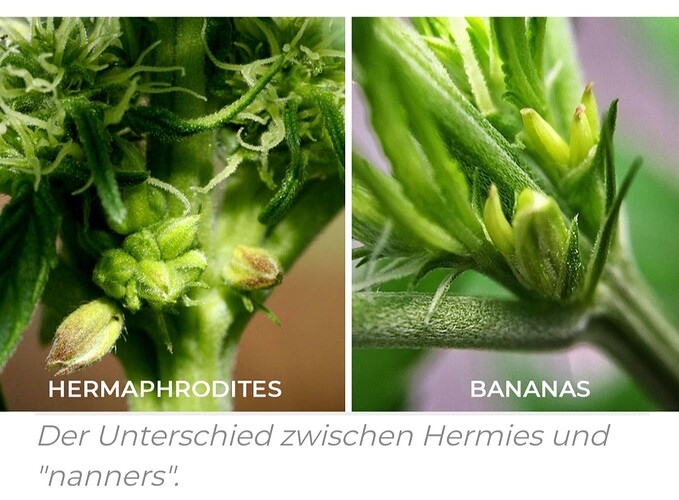Growreport Bild 16