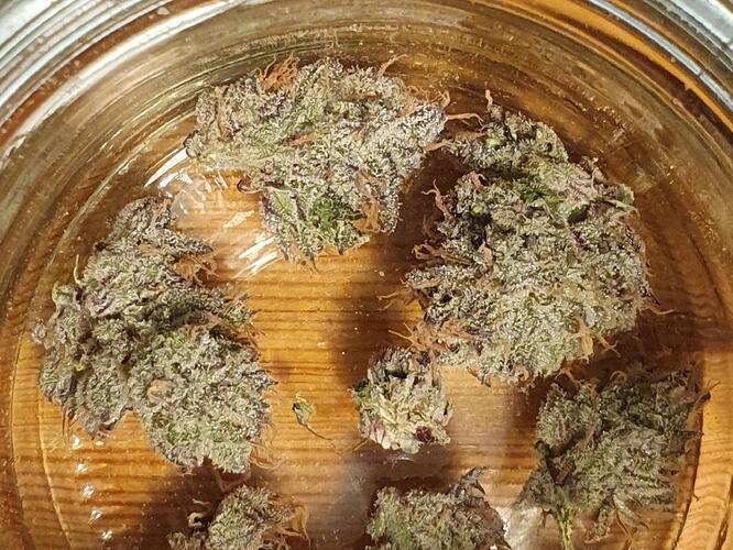 Growreport Bild 10