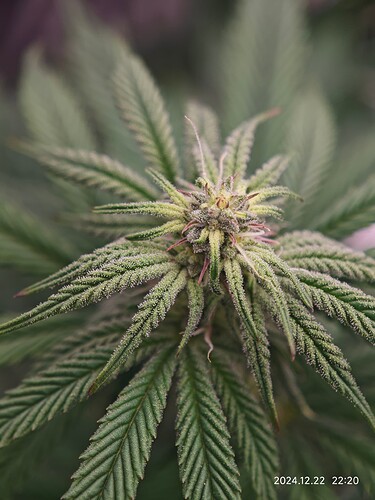 Growreport Bild 15