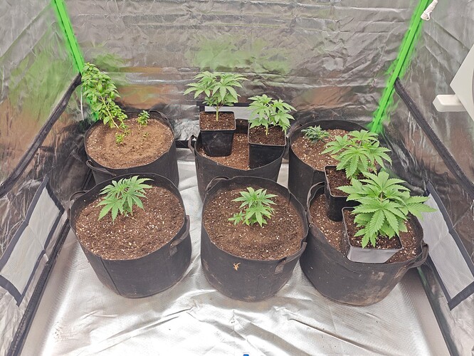 Growreport Bild 27