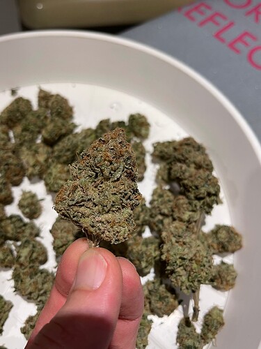 Growreport Bild 3