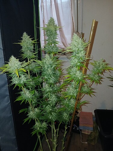 Growreport Bild 9