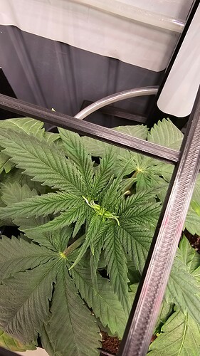 Growreport Bild 4