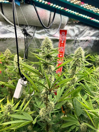 Growreport Bild 4