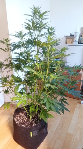 IMG_20240502_104856_878