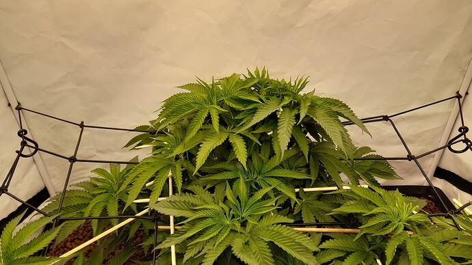Growreport Bild 12