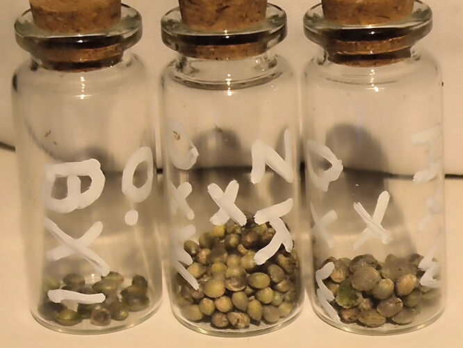 Growreport Bild 11