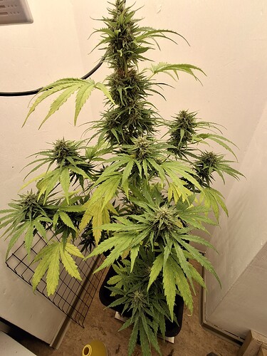 Growreport Bild 2