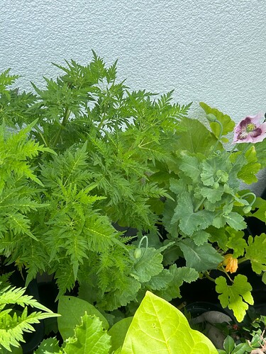 Growreport Bild 15