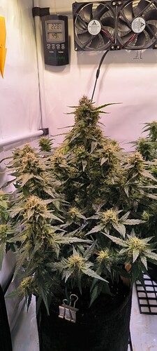 Growreport Bild 9