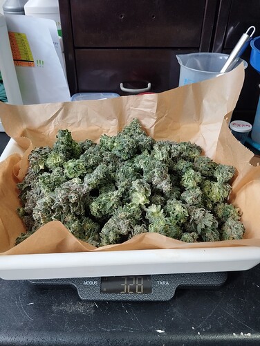 Growreport Bild 34