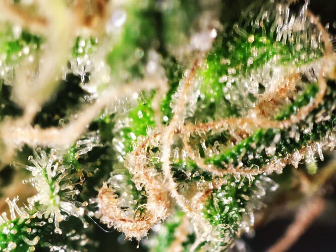 Growreport Bild 48