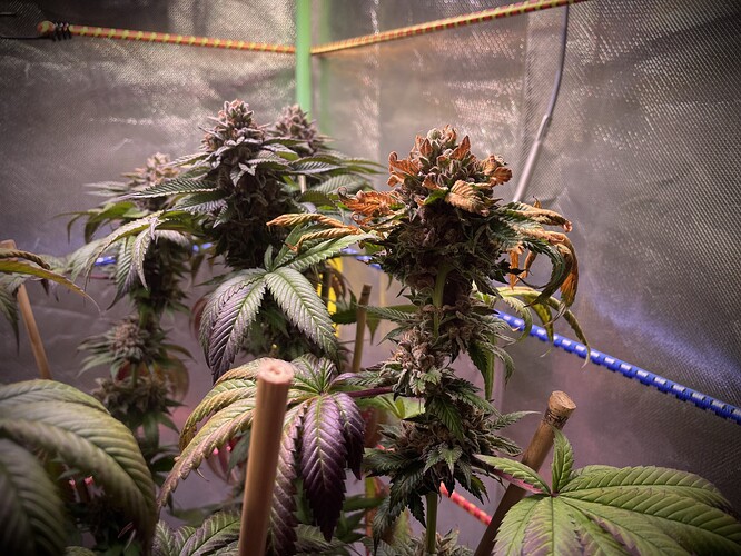 Growreport Bild 16