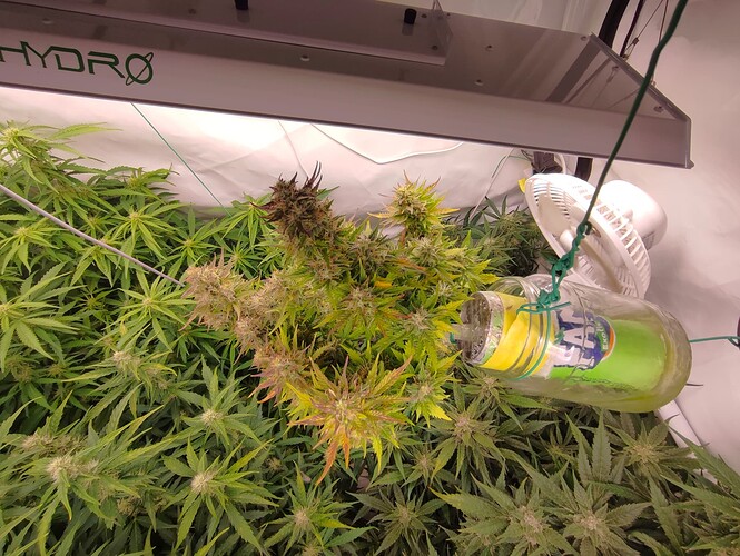 Growreport Bild 28