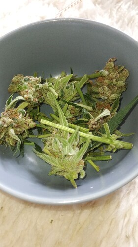 Growreport Bild 9