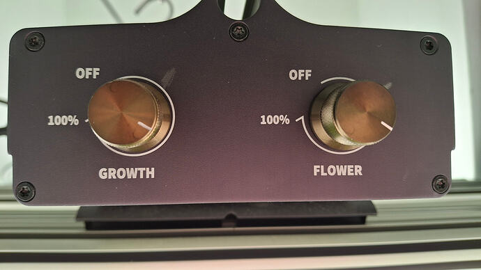 Growreport Bild 204
