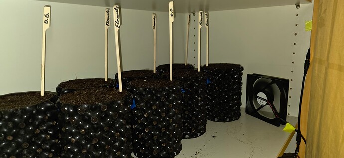 Growreport Bild 7
