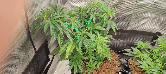 IMG_20251008_100856186